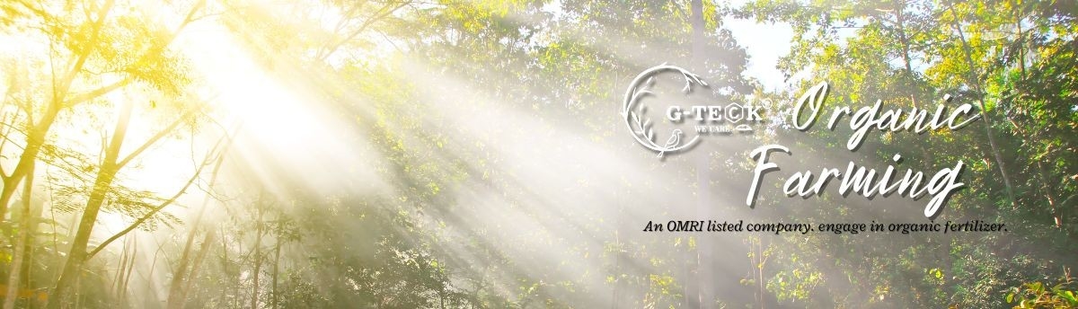 Şelatlı Amino Asitler